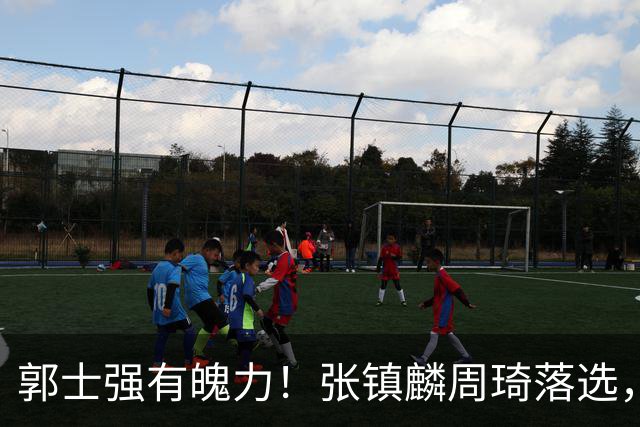 郭士强有魄力！张镇麟周琦落选，战日本队，1人挑大梁，非杨瀚森